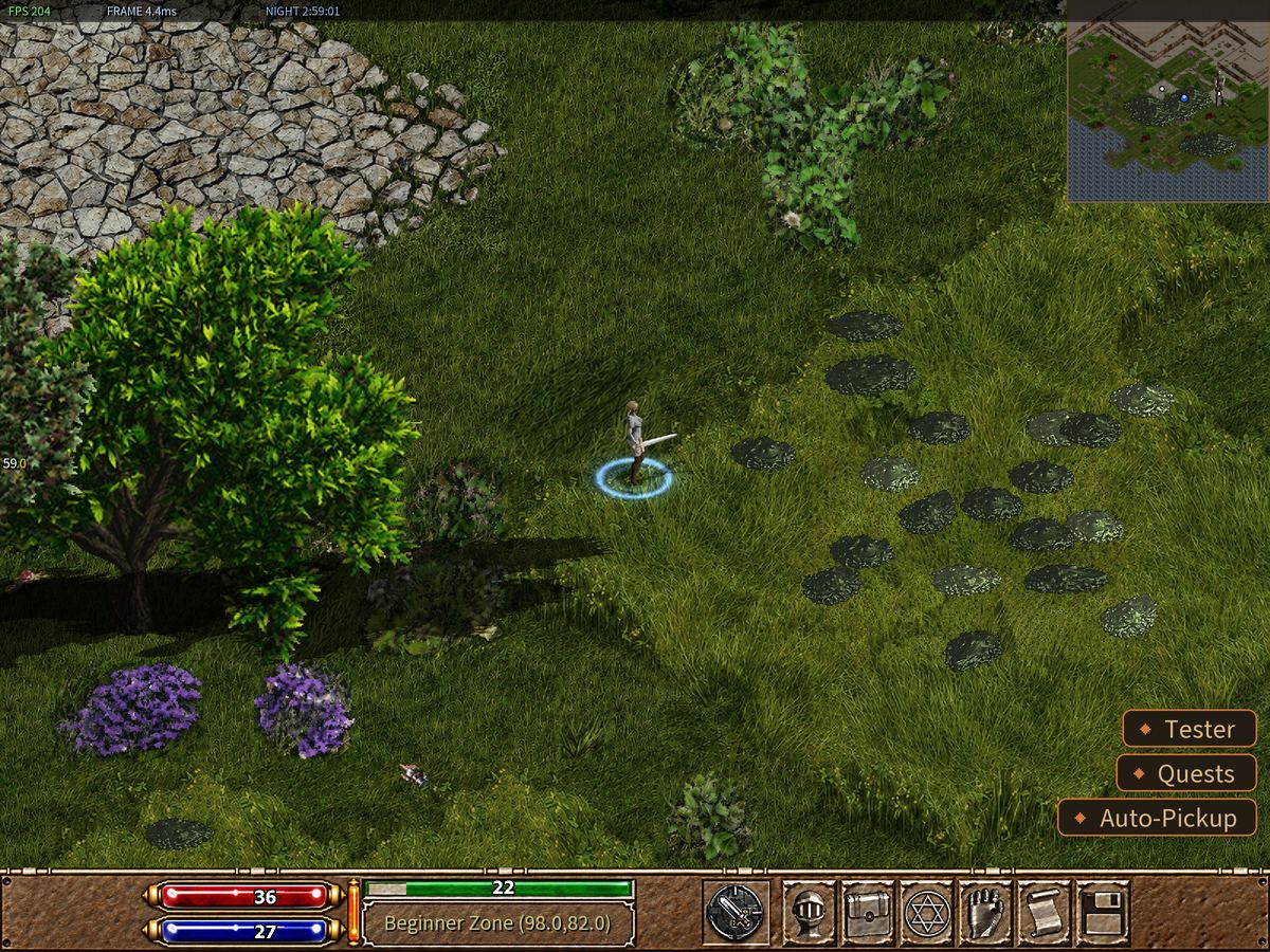The whole game screen in the Beginner Zone, no windows open.